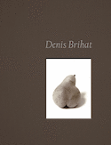 Denis Brihat [édition bilingue]